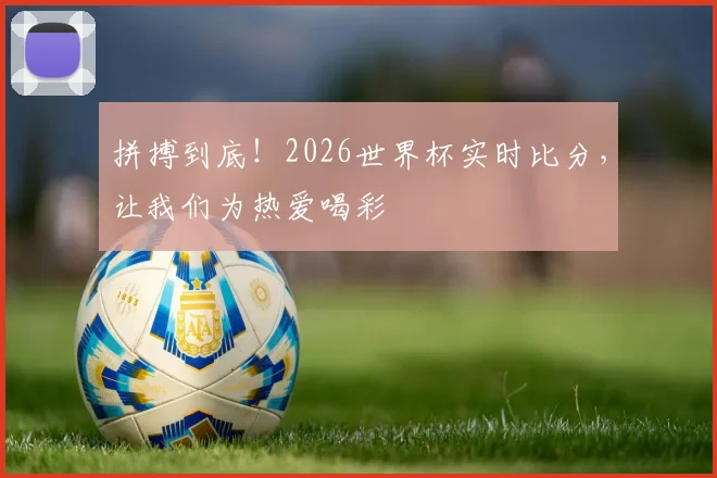 拼搏到底！2026世界杯实时比分，让我们为热爱喝彩
